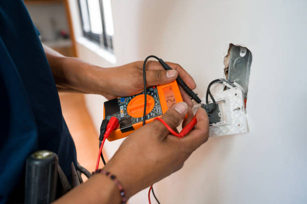 Best Electric Panel Repair  in Robinhood, MS